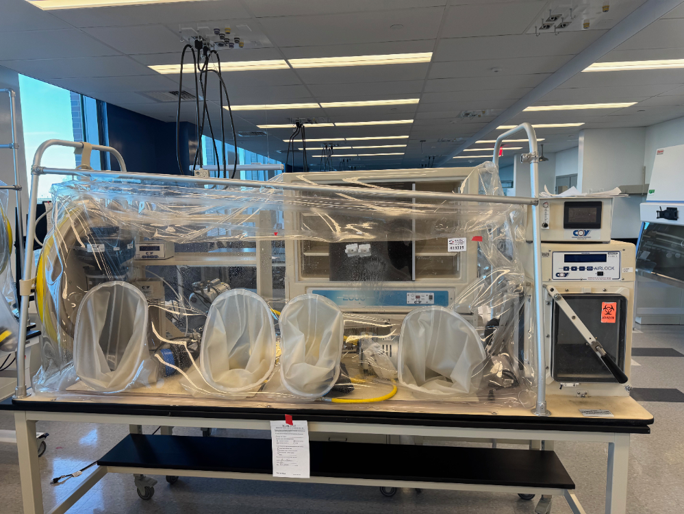 Image of Coy Anaerobic Chamber